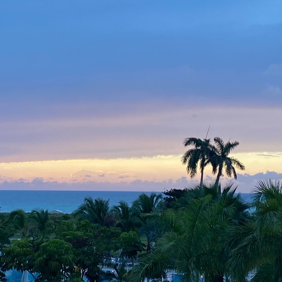 Meet your Posher, Elena - Picture 1 of 1